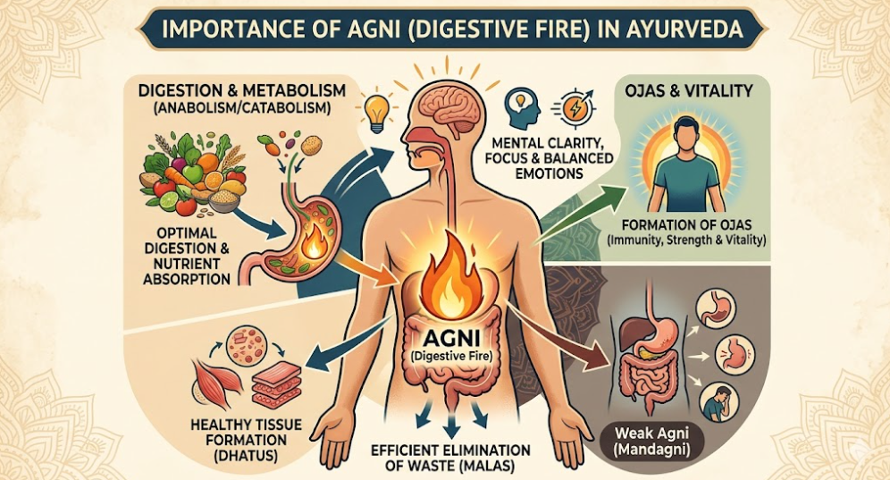 Importance of Agni (Digestive Fire) in Ayurveda